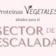 Proteinas vegetales ideales en el sector de escalada