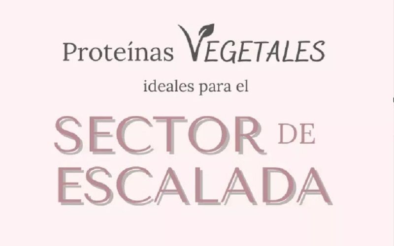 Proteinas vegetales ideales en el sector de escalada